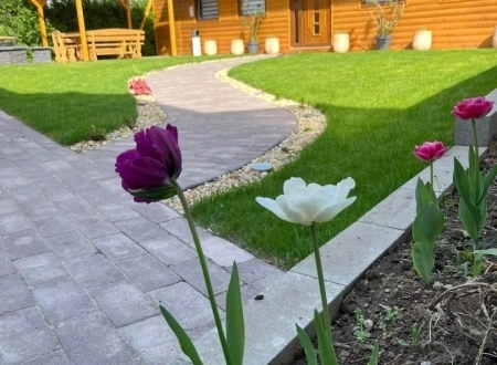 Wood House Nyíregyháza