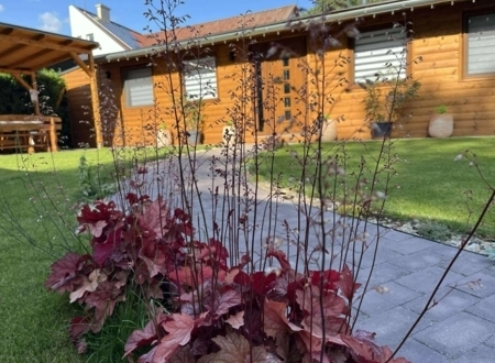 Wood House Nyíregyháza